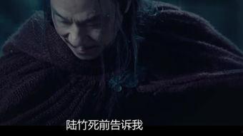 刺在线观看,揭秘网络世界的暗流涌动