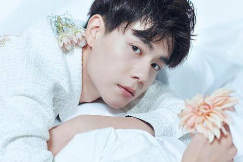 胡一天杨紫娱乐大爆料,幕后故事与精彩瞬间