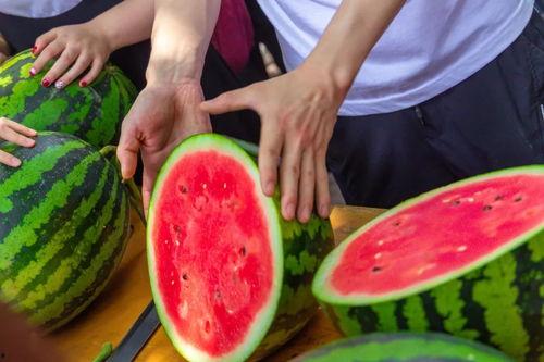 外卖苏苏吃瓜视频大全免费观看,免费观看，尽享美食与娱乐盛宴